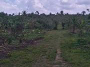 FOR SALE: Lot / Land / Farm Cavite