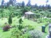 FOR SALE: Lot / Land / Farm Cavite