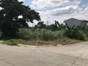 FOR SALE: Lot / Land / Farm Cavite