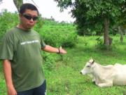 FOR SALE: Lot / Land / Farm Cavite