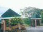 FOR SALE: Lot / Land / Farm Cavite