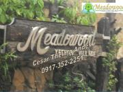 FOR SALE: Lot / Land / Farm Cavite >Bacoor