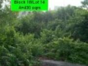 For sale: lot / land / farm cebu