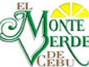 For sale: lot / land / farm cebu