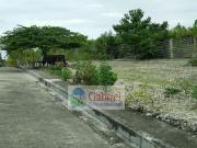 For sale: lot / land / farm cebu