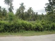 For sale: lot / land / farm davao