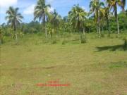 For sale: lot / land / farm davao