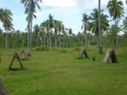 For sale: lot / land / farm davao