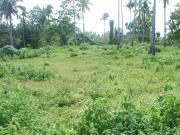 FOR SALE: Lot / Land / Farm Davao >Davao City