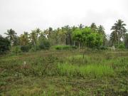 FOR SALE: Lot / Land / Farm Davao del Sur >Samal