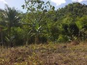 FOR SALE: Lot / Land / Farm Iloilo