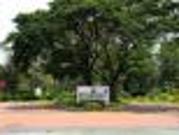 FOR SALE: Lot / Land / Farm Laguna