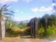 FOR SALE: Lot / Land / Farm Laguna