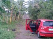 FOR SALE: Lot / Land / Farm Manila Metropolitan Area...