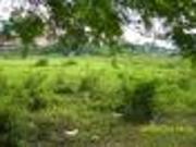 FOR SALE: Lot / Land / Farm Manila Metropolitan Area...