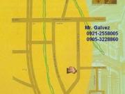FOR SALE: Lot / Land / Farm Manila Metropolitan Area...
