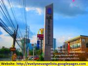 FOR SALE: Lot / Land / Farm Manila Metropolitan Area...