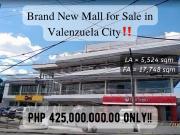 FOR SALE: Lot / Land / Farm Manila Metropolitan Area...