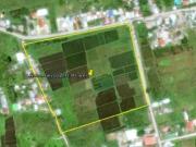 FOR SALE: Lot / Land / Farm Misamis Oriental >Cagayan...
