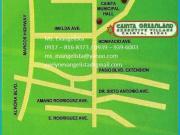 For sale: lot / land / farm rizal