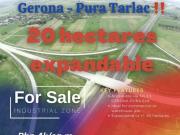 FOR SALE: Lot / Land / Farm Tarlac