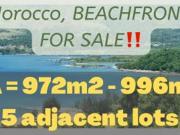 FOR SALE: Lot / Land / Farm Zambales
