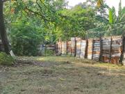 For Sale Lot near Lopez Commercial Sucat Rd. Brgy. San...