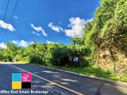 For Sale Lot Only at Maria Luisa Subdivision Banilad...