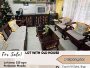 For Sale: Lot with Old House located at San Agustin...