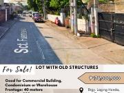 FOR SALE Lot with Old Structures located at Brgy. Laging...