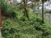 FOR SALE LOT WITH OVERLOOKING VIEW