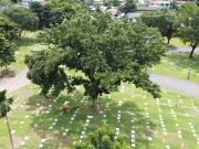 For Sale Manila Memorial Park Dasmariñas Lawn Lot Sampaloc I