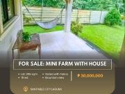 For Sale: Mini Farm With House located at San Pablo City...
