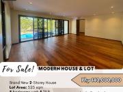 FOR SALE Modern House with Mezzanine located at Ayala...