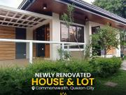 For Sale Newly Renovated House and Lot in Don Jose...