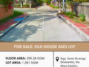 FOR SALE Old House and Lot in Brgy. Santo Domingo...