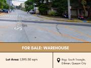 FOR SALE Old House with Warehouse in Brgy. South...