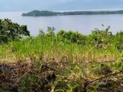 For Sale Overlooking Lot in Island of garden Samal,...