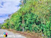 for sale overlooking lot in south hills subdivision tisa...