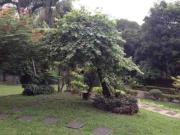 FOR SALE Perimeter Residential Property with 2 Houses in...