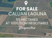 FOR SALE – Prime 55 Hectare Property in Calauan, Laguna...