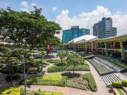 For Sale: Prime Commercial Lot in Cebu Business Park,...