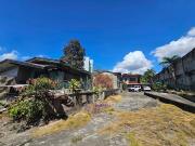 For Sale: Prime Commercial Lot, P. Del Rosario, Cebu City