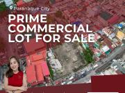 For Sale: Prime Commercial Property in Paranaque City...