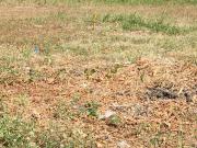 Premium Inner Lot for Sale in Alabang West – Just a Few...