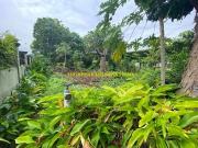 Maria Luisa Prime Lot For Sale