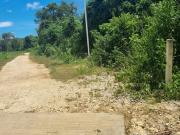 FOR SALE: Prime Lot in San Isidro, Dauis, Bohol |...