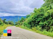 For Sale Prime Overlooking Lot in Bon Bon Busay Cebu City