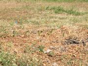 Premium Residential Lot in BF HEVA, Parañaque – Rare & Gated