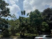 FOR SALE – Prime Vacant Lot in Ayala Heights, Quezon...